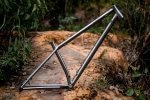 Img_0090 - roost bike