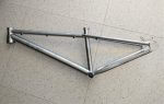 205046720_530933858093801_6168379581518143262_n - roost bike
