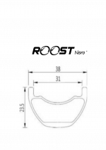 2 - roost bike